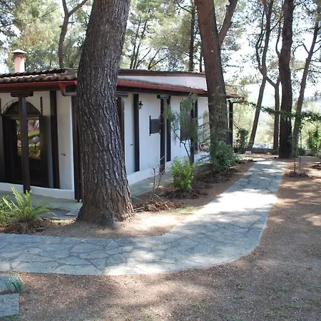 #villa Clementine By Halu! Sani Villas Villa Sani (Chalkidiki)