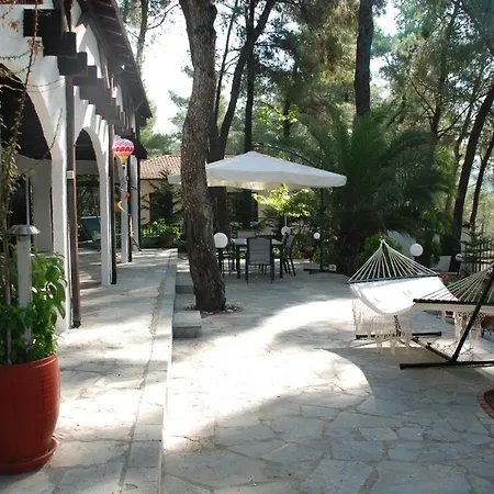 #villa Clementine By Halu! Sani Villas Villa Sani (Chalkidiki)